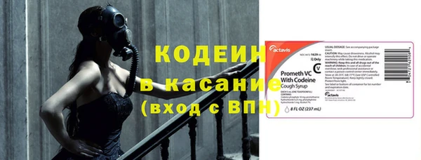 бошки Бородино