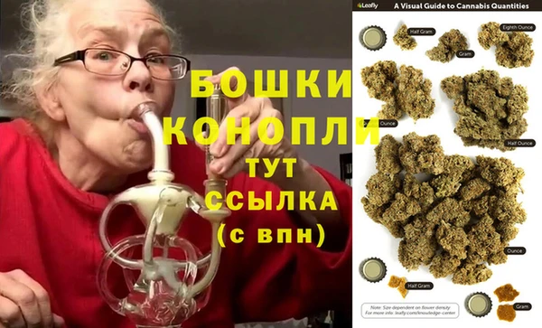 бошки Бородино