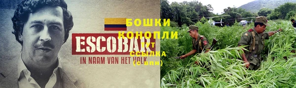 бошки Бородино
