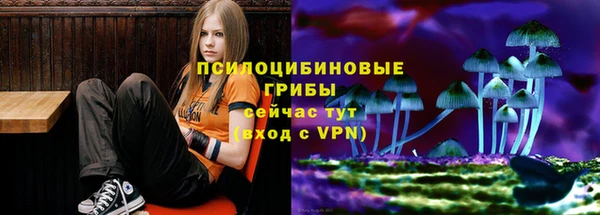 бошки Бородино