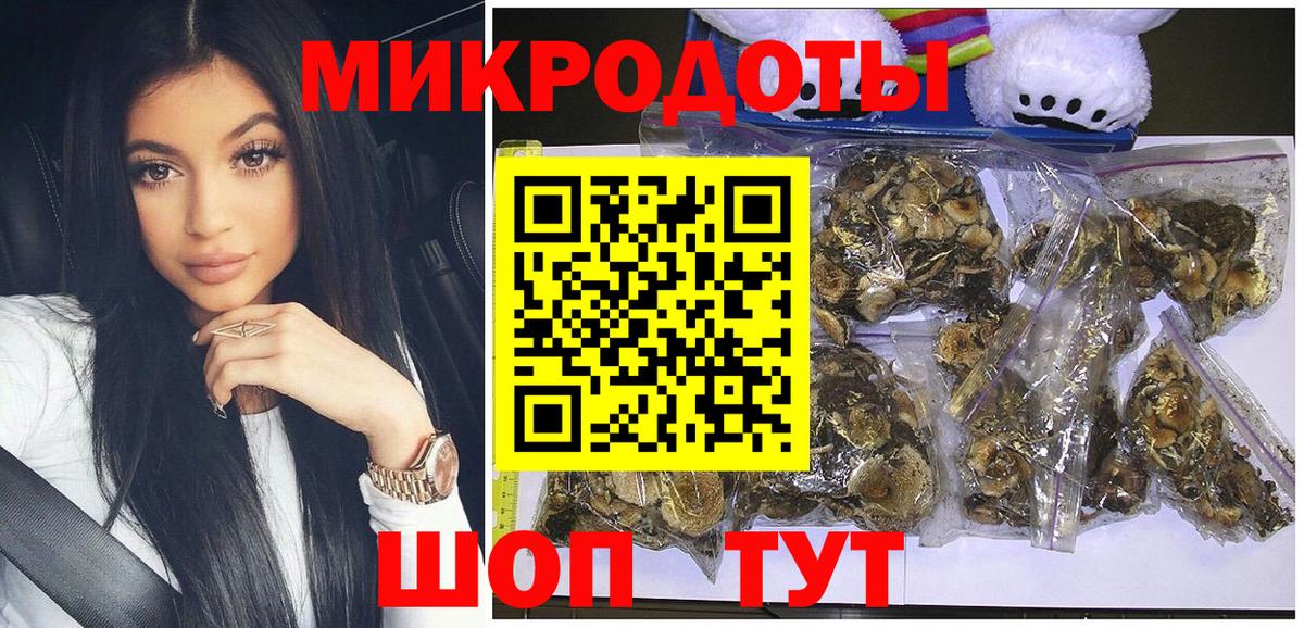 Галлюциногенные грибы Psilocybe  Гатчина 