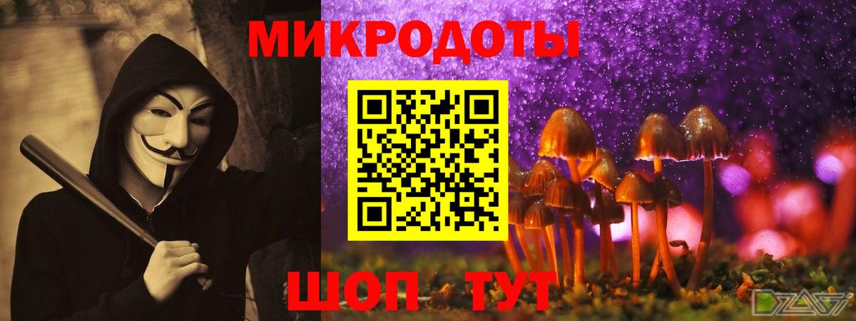 Гатчина  Галлюциногенные грибы прущие грибы  Вход с VPN  Псилоцибиновые грибы GOLDEN TEACHER 